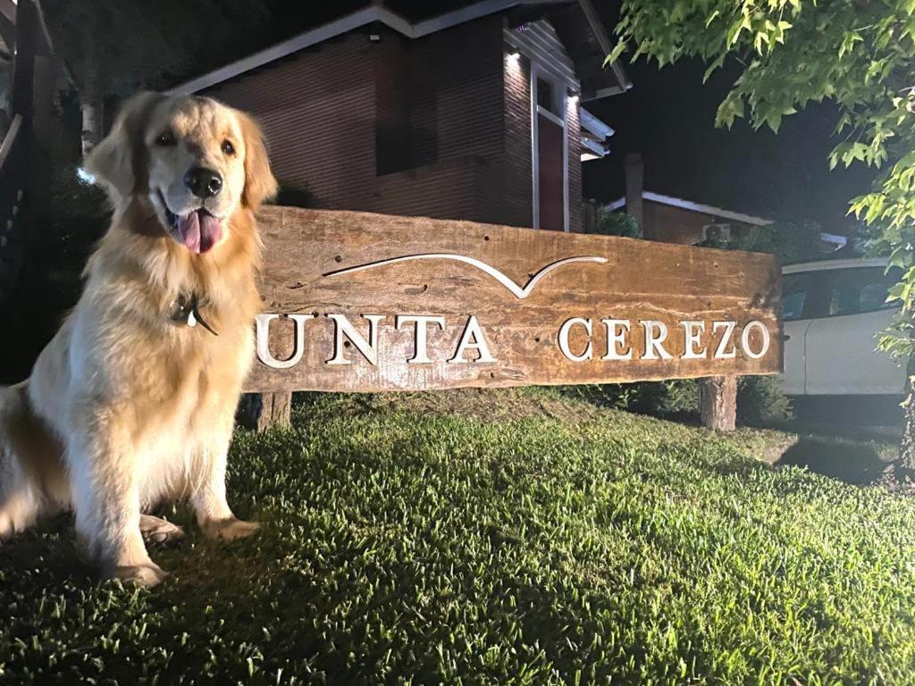 Punta Cerezo Apart Carilo Εξωτερικό φωτογραφία